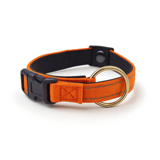 Dog Collar