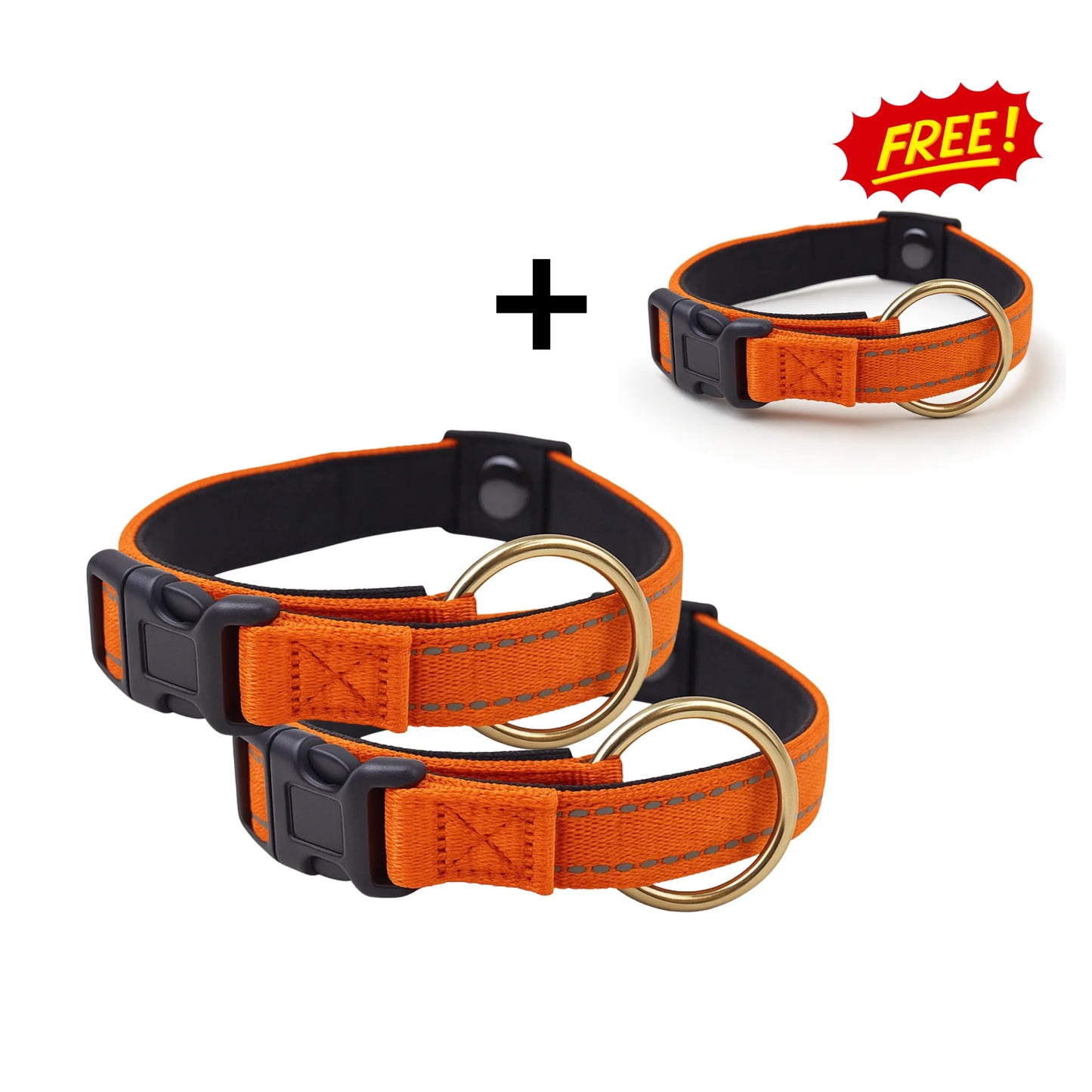 Dog Collar