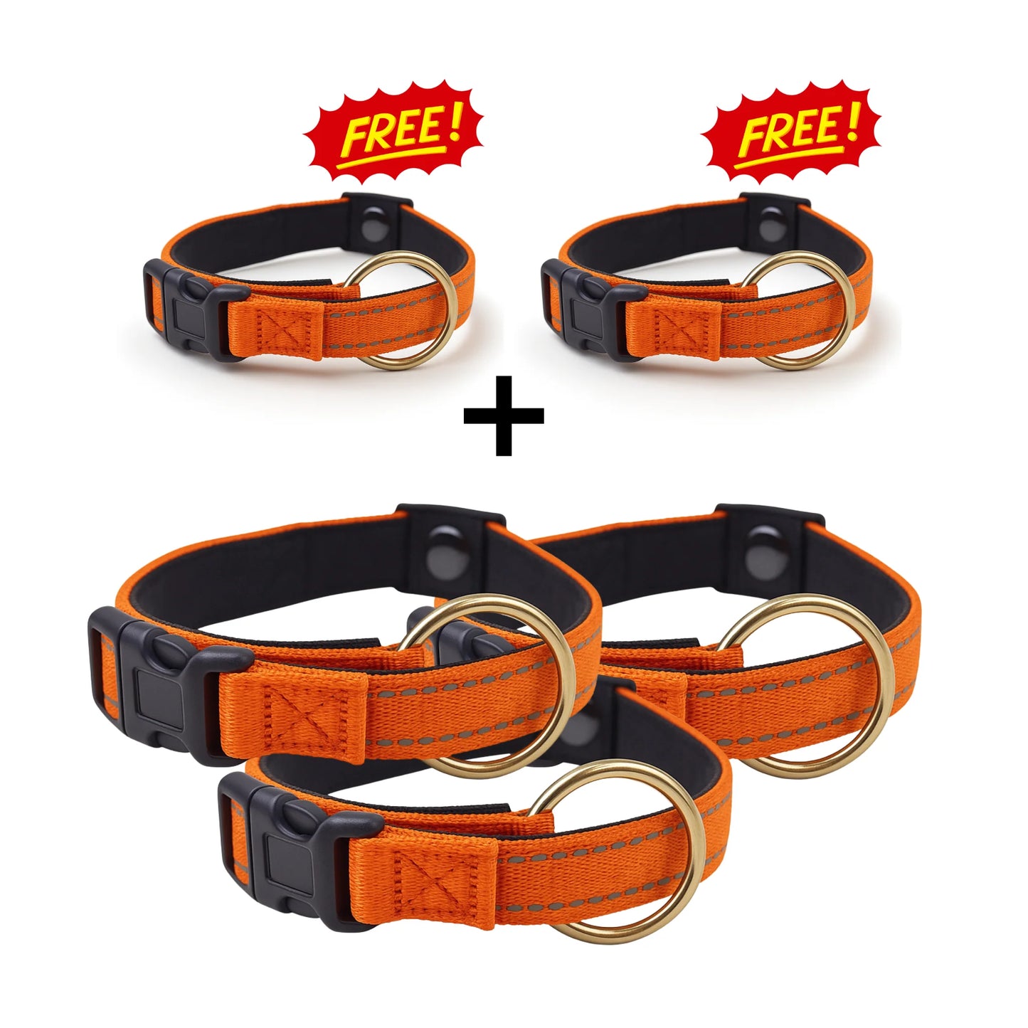 Dog Collar